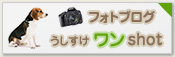 �t�H�g�u���O ������������shot